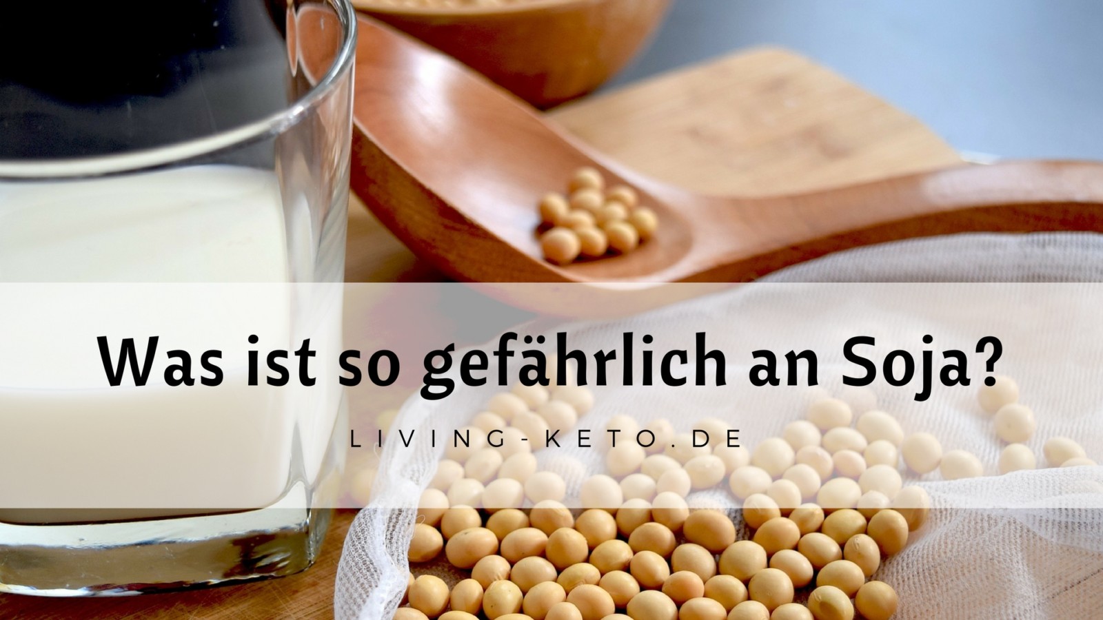 Du betrachtest gerade Die Wahrheit über Soja in der ketogenen Ernährung: Meine Erfahrungen und Fakten