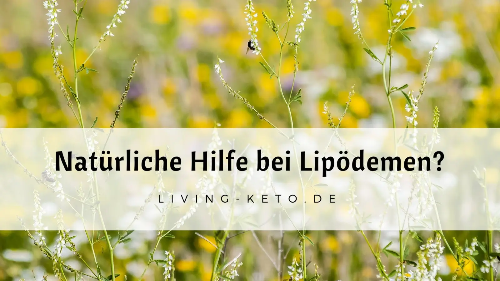 Naturliche Hilfe Bei Lipodemen Mit Steinklee Ketogen Leben