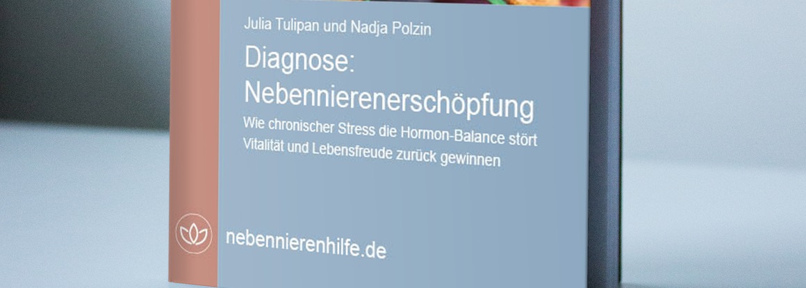 Du betrachtest gerade Diagnose: Nebennierenerschöpfung [Rezension]