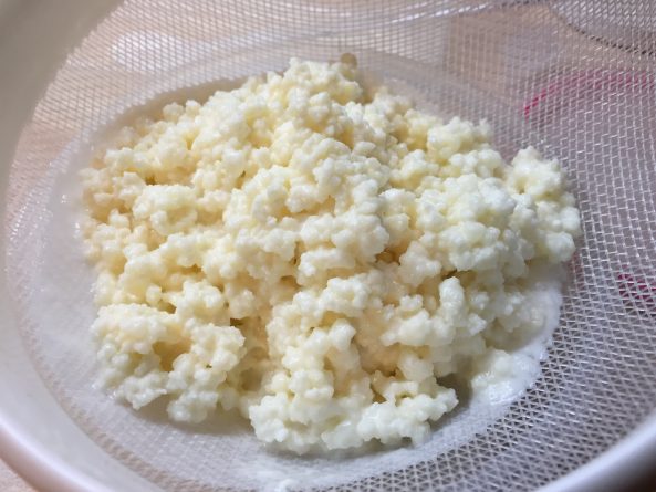 Kefir Knoellchen