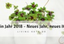 Mein Jahr 2018 – Neues Jahr, neues ICH (2)