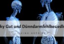 Leaky Gut und Dünndarmfehlbesiedlung: Ein umfassender Leitfaden