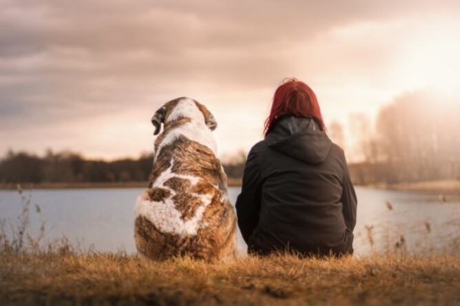 Frau mit Hund sitzt entspannt am See – Symbol für Stressabbau und seelische Heilung bei Hashimoto.