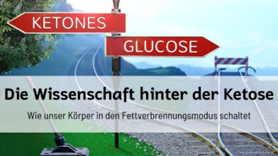 Mehr über den Artikel erfahren Die Wissenschaft hinter der Ketose: Wie unser Körper in den Fettverbrennungsmodus schaltet