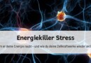 Energiekiller Stress: Warum er deine Energie raubt – und wie du deine Zellkraftwerke wieder aktivierst