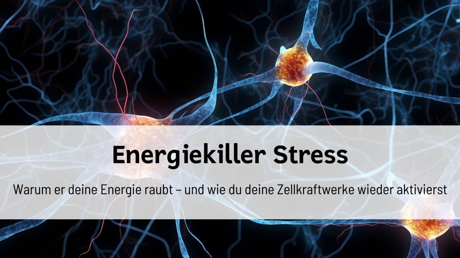 Du betrachtest gerade Energiekiller Stress: Warum er deine Energie raubt – und wie du deine Zellkraftwerke wieder aktivierst