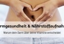 Darmgesundheit & Nährstoffaufnahme: Warum dein Darm über deine Vitamine entscheidet